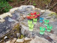 forest bathing refreshments